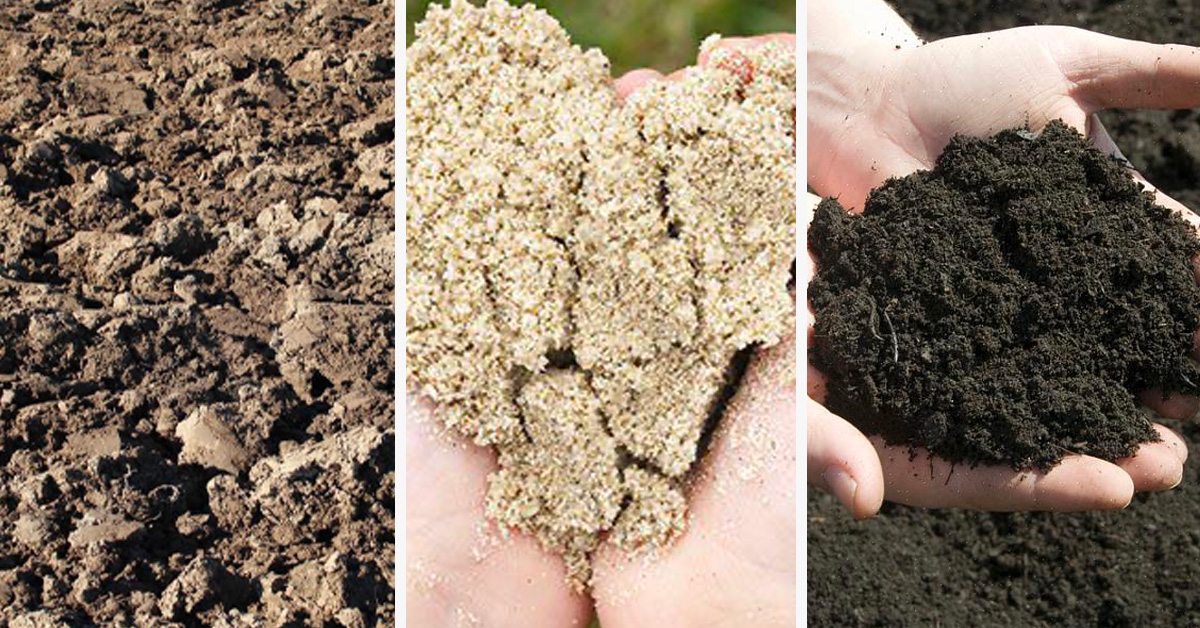 Les types de sol pour jardiner
