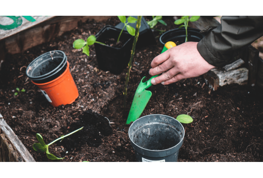 Préparer les sols au printemps avec le biochar