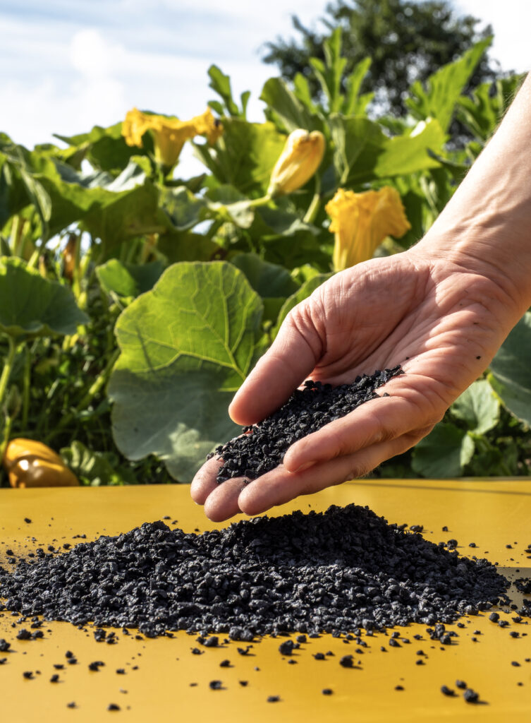 Biochar Terra Fertilis : Améliorez Votre Sol pour des Plantes en Pleine Santé